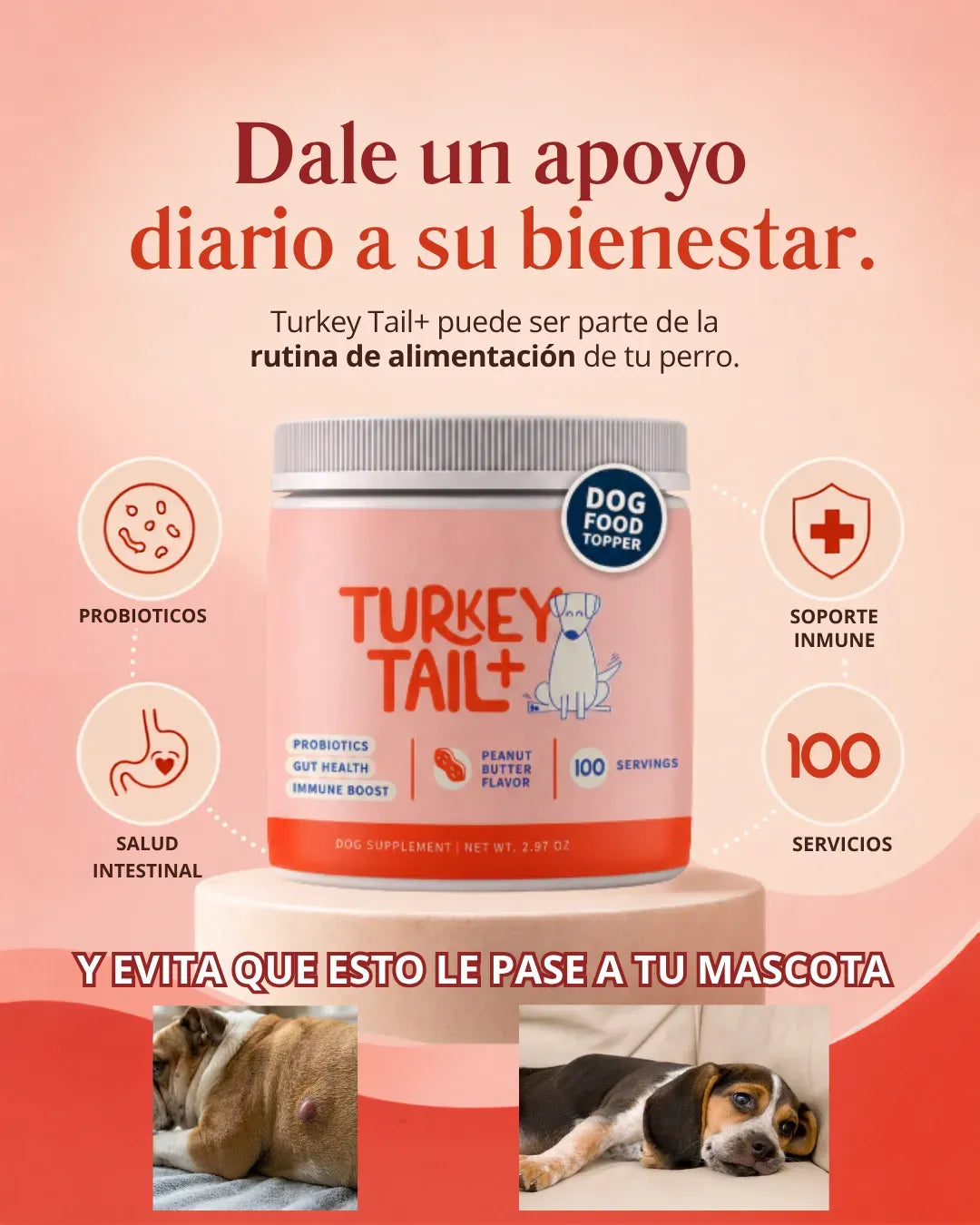 PROBIÓTICOS PARA PELUDOS - TURKEY TAIL +